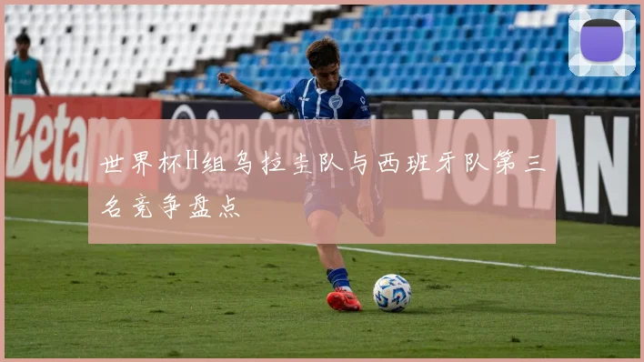 世界杯H组乌拉圭队与西班牙队第三名竞争盘点